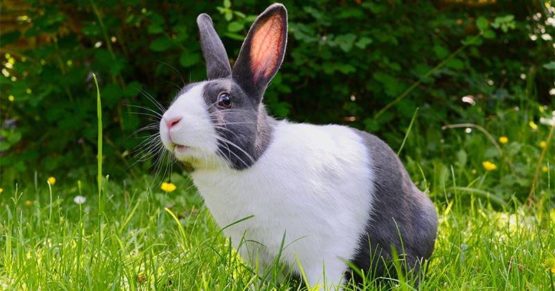 Unsplash/gavinallandwood