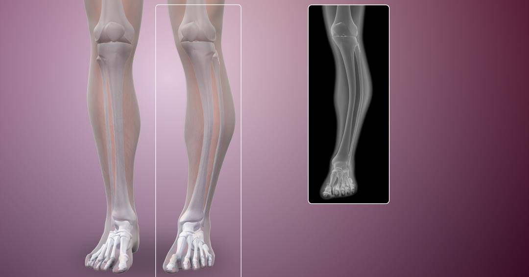 scientificanimations.com