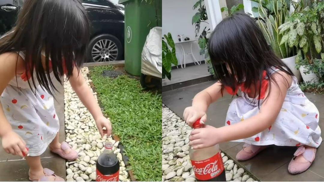 Youtube.com/Jamilo TV