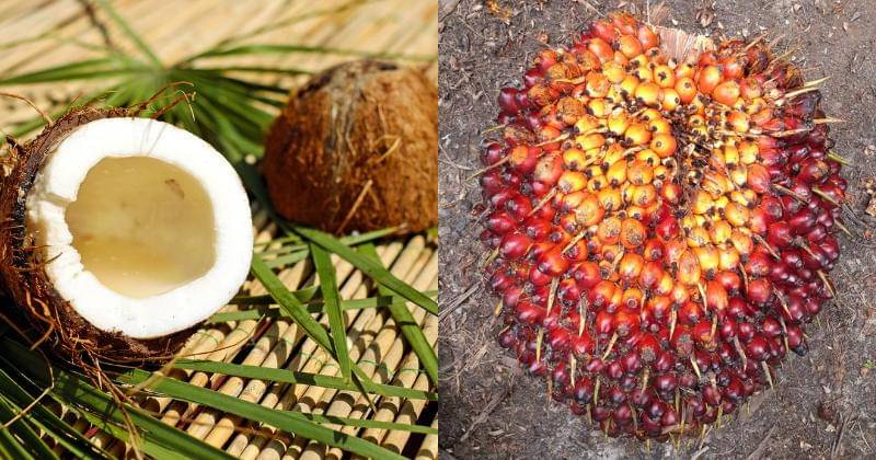 Pixabay/Couleur | Instagram.com/isrilhmd