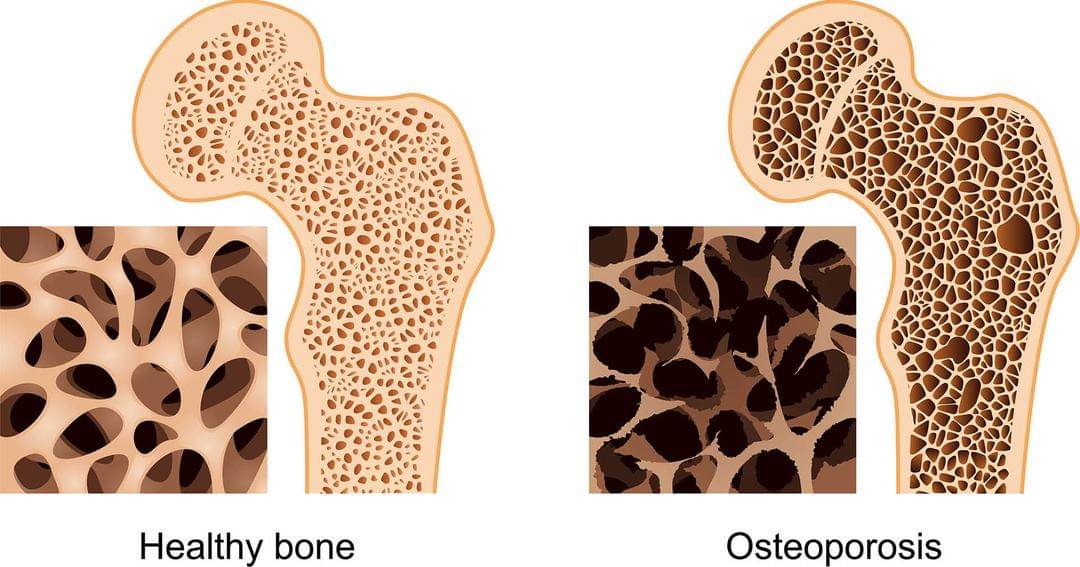 susanquinphysiotherapy.com