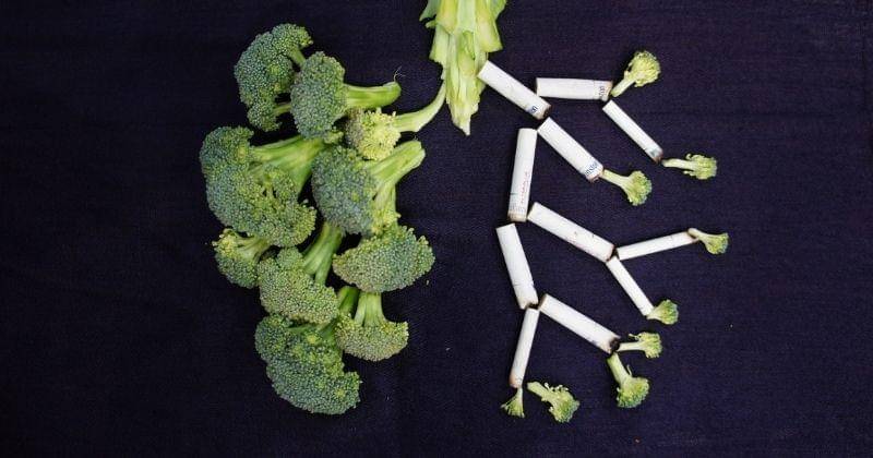 Unsplash/sarabakhshi