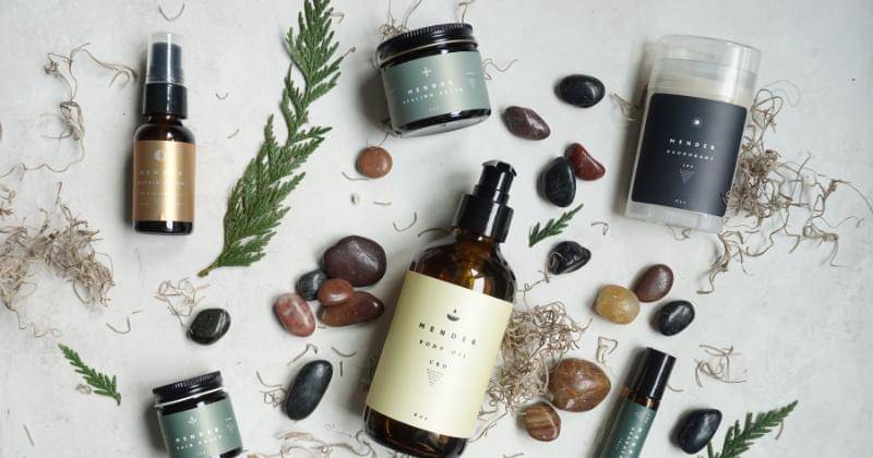 Unsplash/Elsa Olofsson