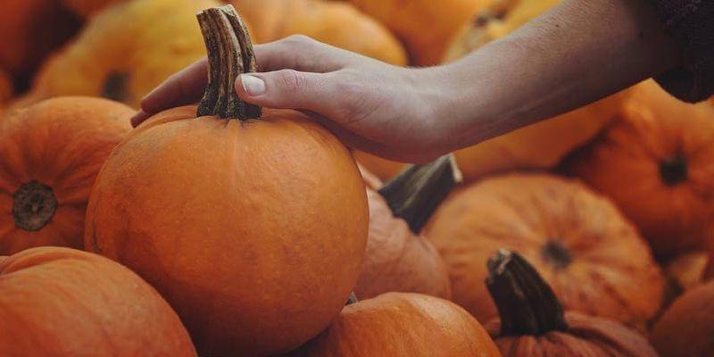 Pexels/Tim Mossholder