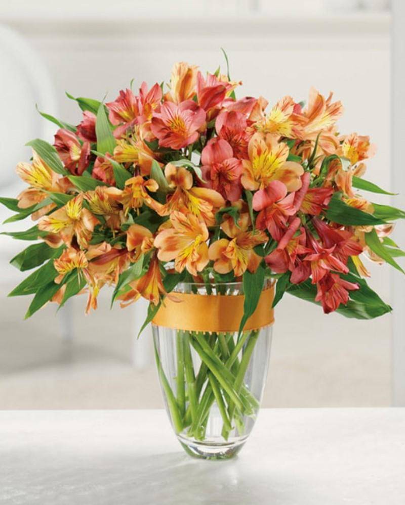 northtonawandaflorist.com