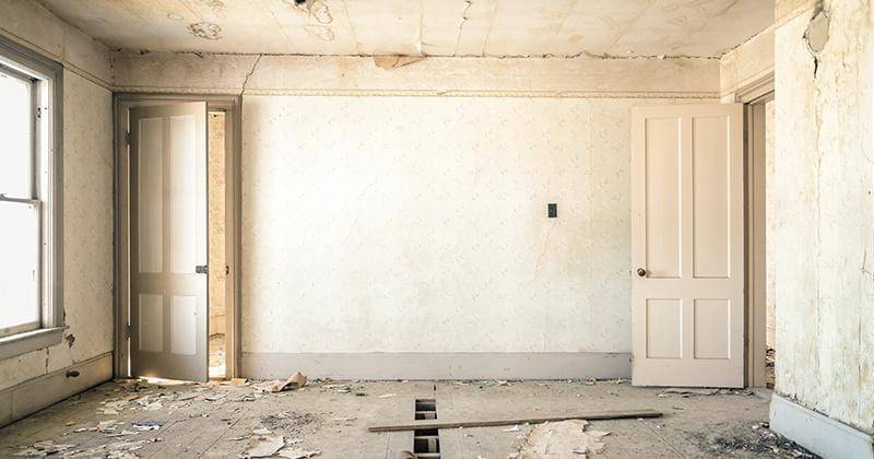 Unsplash/Nolan Issac