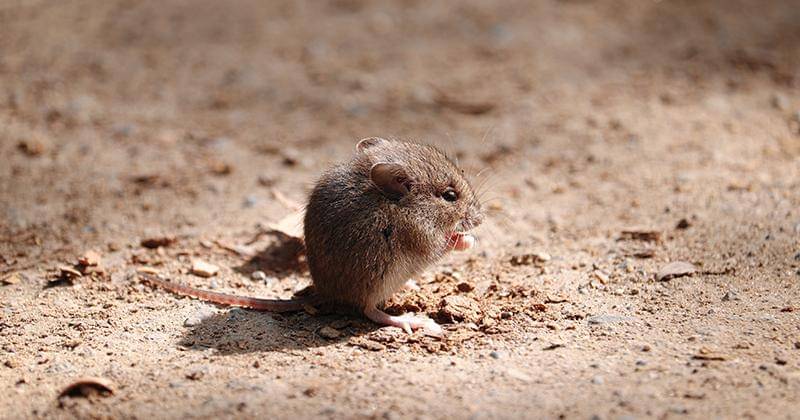 Unsplash/Tom Swinnen