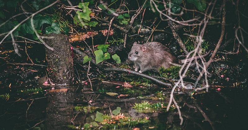 Unsplash/Matt Seymour