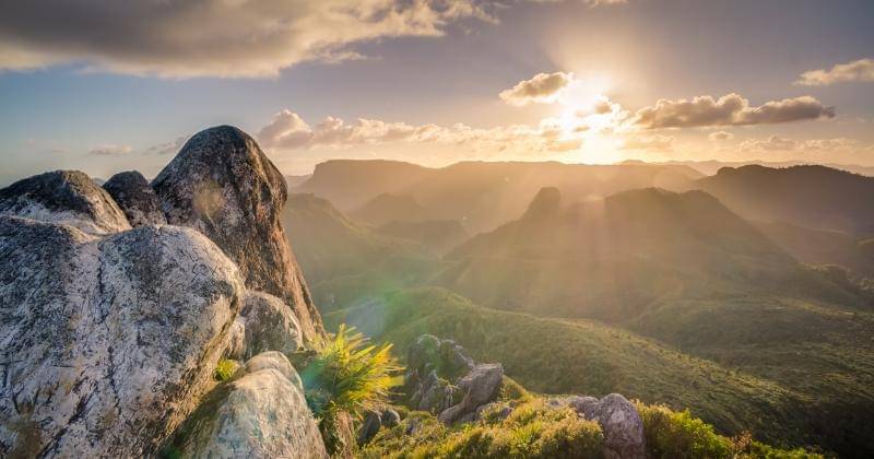 Unsplash/Jasper Boer