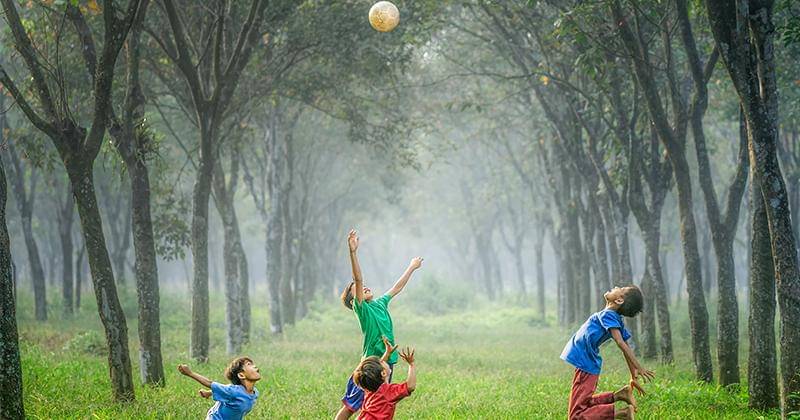 Unsplash/Robert Collins