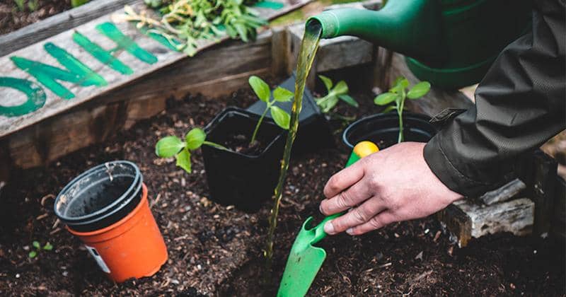 Unsplash/Jonathan Kemper