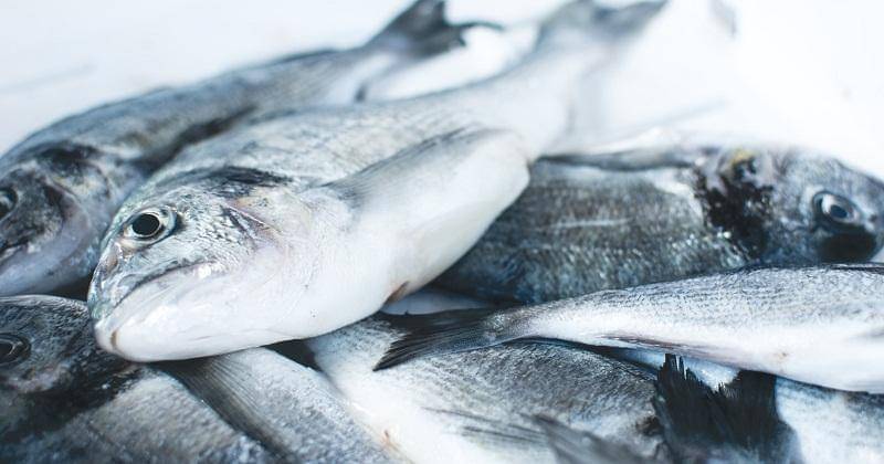 Unsplash/Jakub Kapusnak