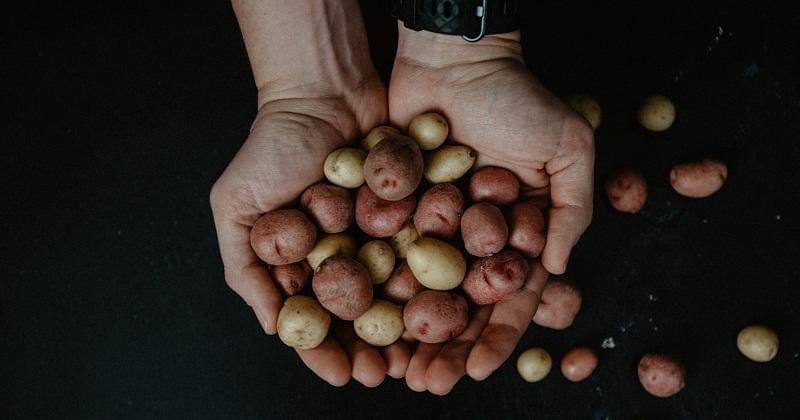 Unsplash/Kelly Sikkema