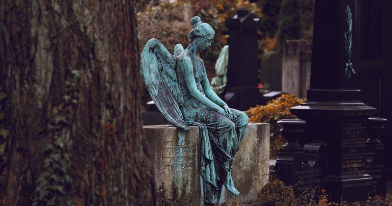 Unsplash/Veit Hammer