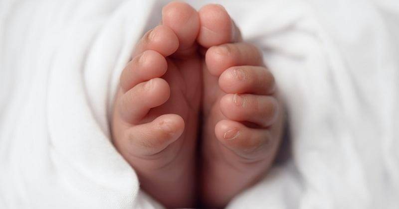 Pexels/Daisy Laparra