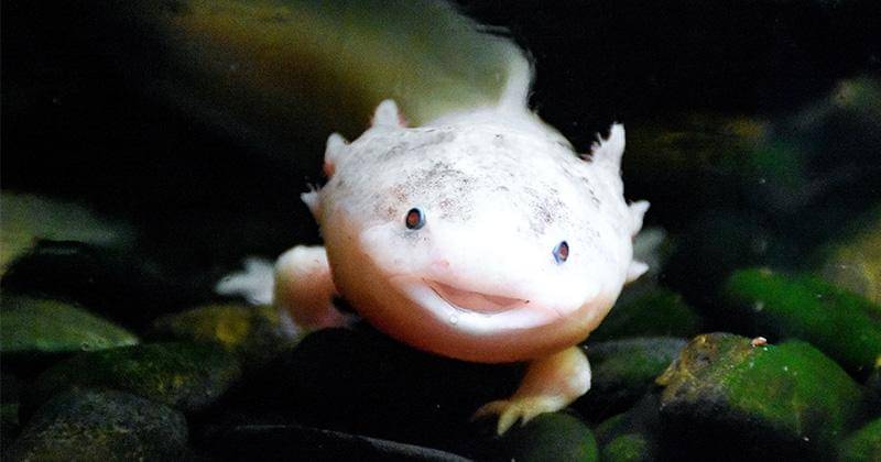 Pexels/Artem Lysenko