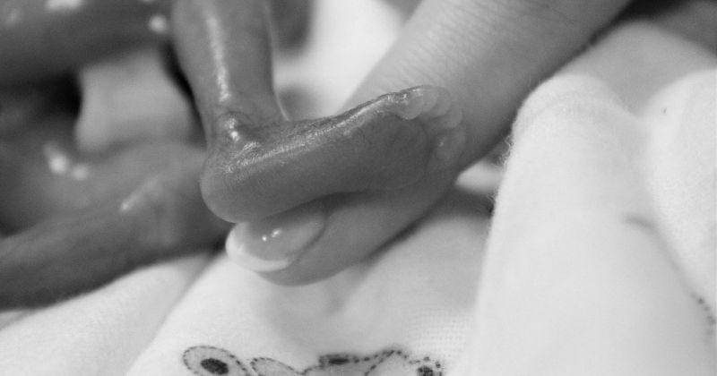 Pixabay/Nicci Coertze-Kruger