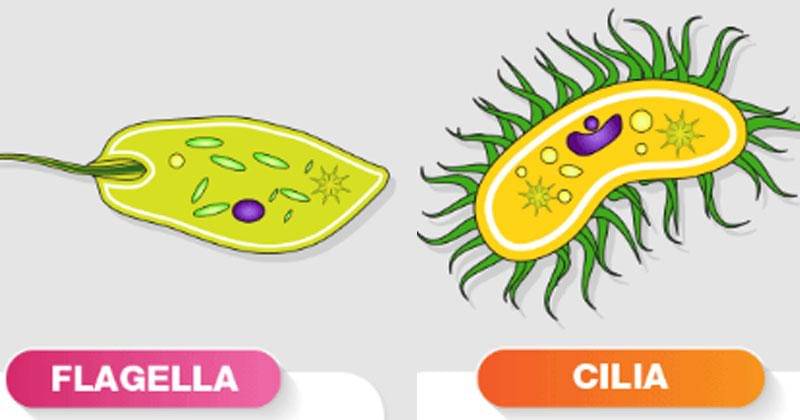 Hisham.id/Suryana Hisham