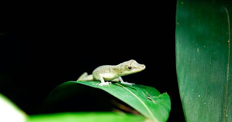 Unsplash/Ulrike Langner