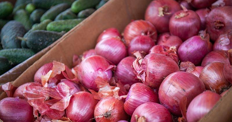 Unsplash/cultivamafaceri