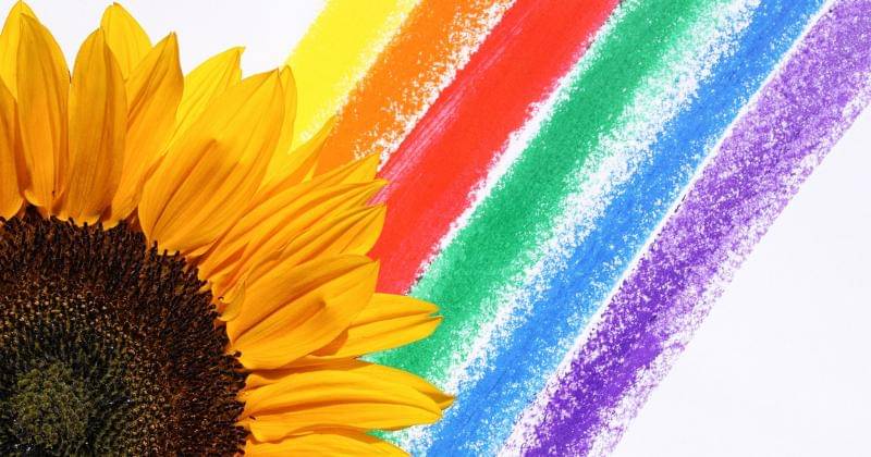 Pexels/Susanne Jutzeler