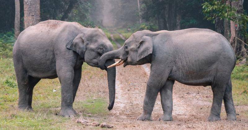 Pexels/Aenic Visuals