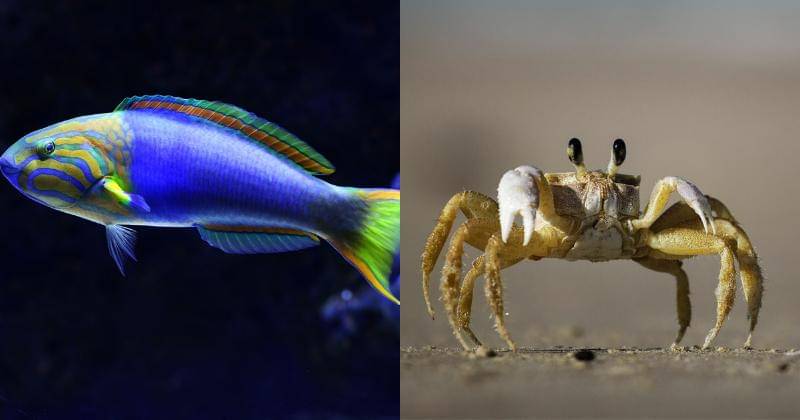 Unsplash/David Clode| Unsplash/Felipe Portella