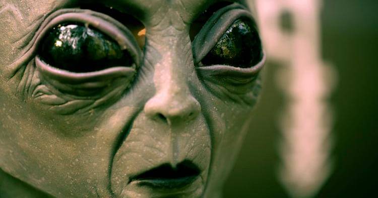 Unsplash/Stephen Leonardi