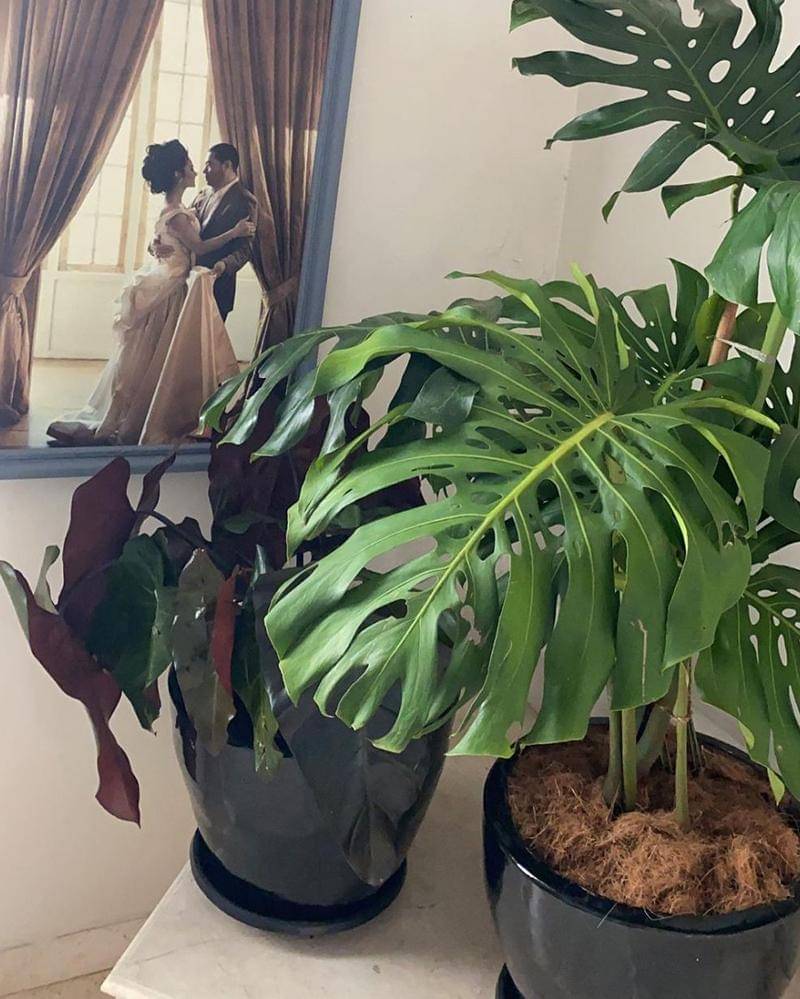 Instagram.com/krisdayantilemos