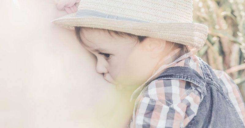 Pixabay/Michal Fošenbauer