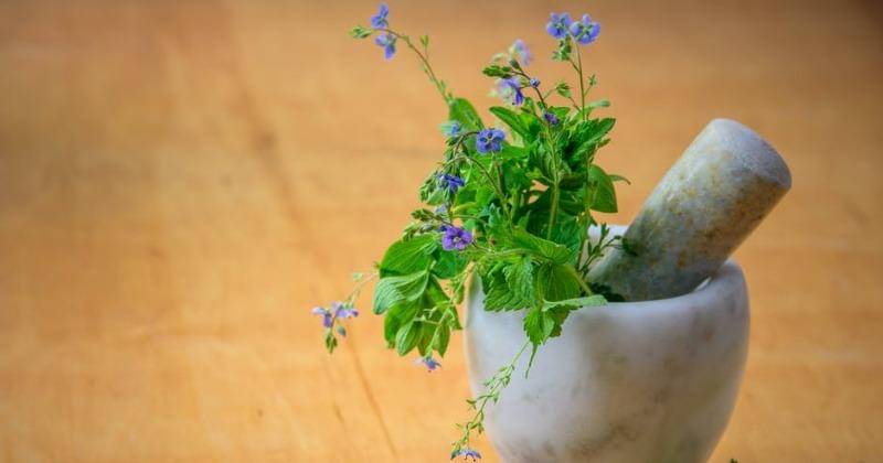 Pexels/PhotoMIX Company