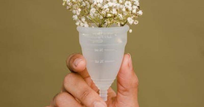 Pexels/Sora Shimazaki