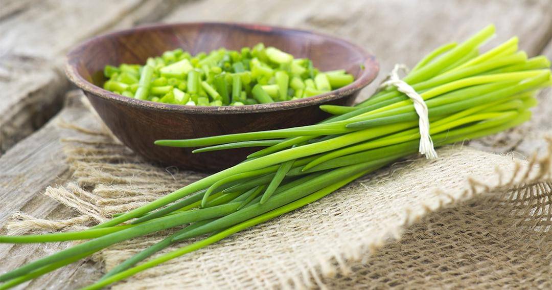 Dok. Jovee - Shutterstock/Mira Drozdowski