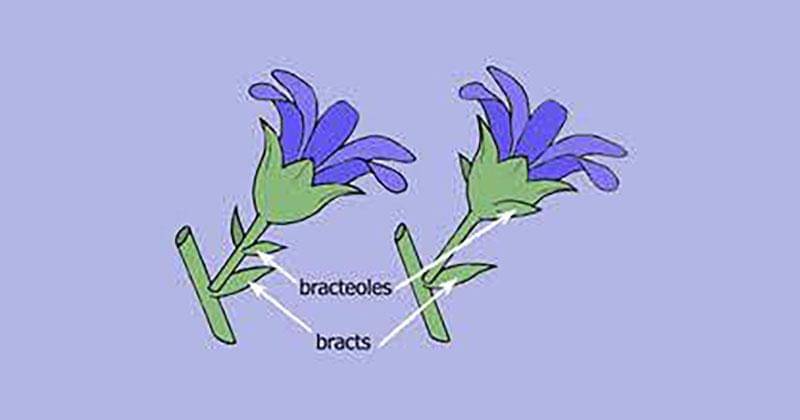 keys.lucidcentral.org