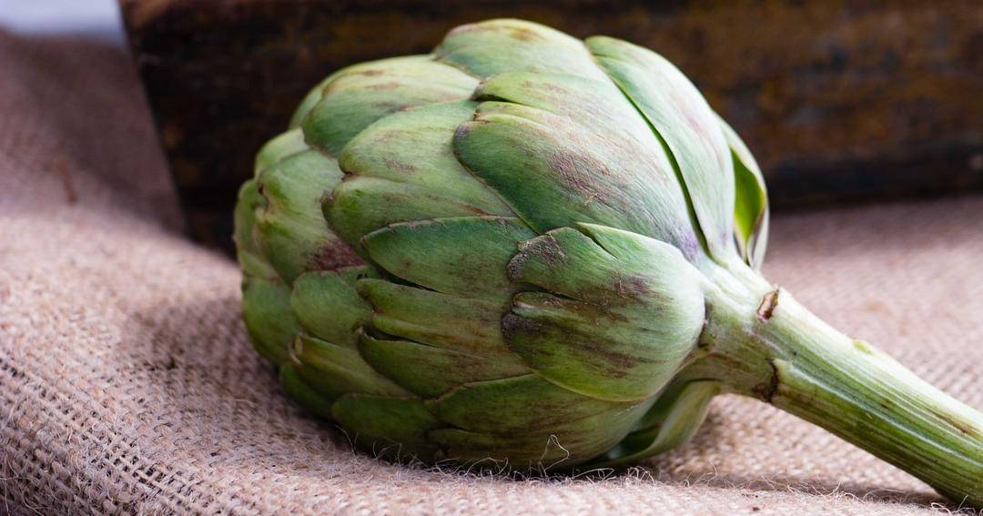 Unsplash/Christine Siracusa 