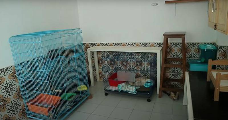 Youtube.com/Arbani Yasiz