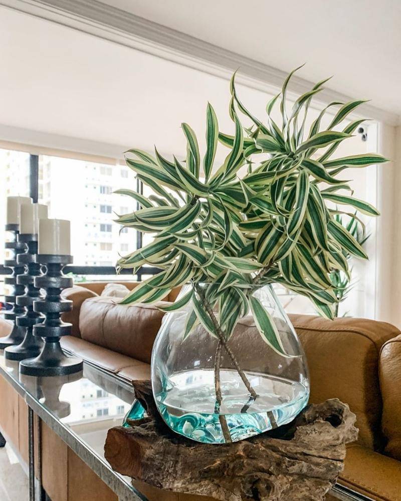 Instagram.com/isabellae21