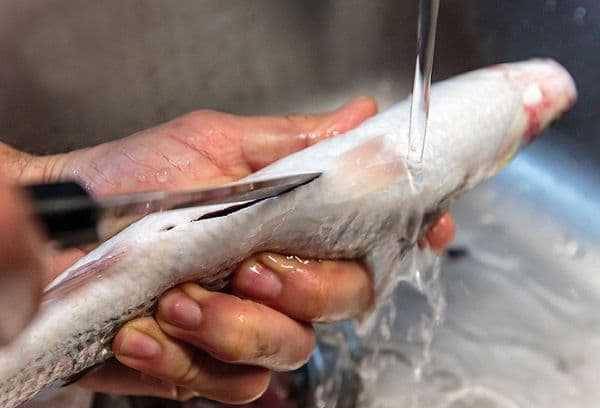 4 Tips Hilangkan Bau Tanah Saat Masak Ikan ala Chef Firhan Ashari