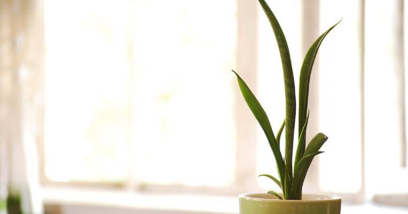 Pixabay/cool2compute