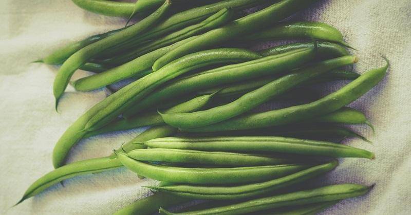 Unsplash/Mike Kenneally