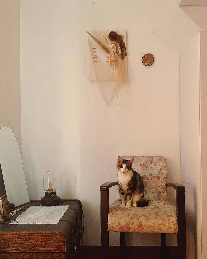 Instagram.com/cakecaine