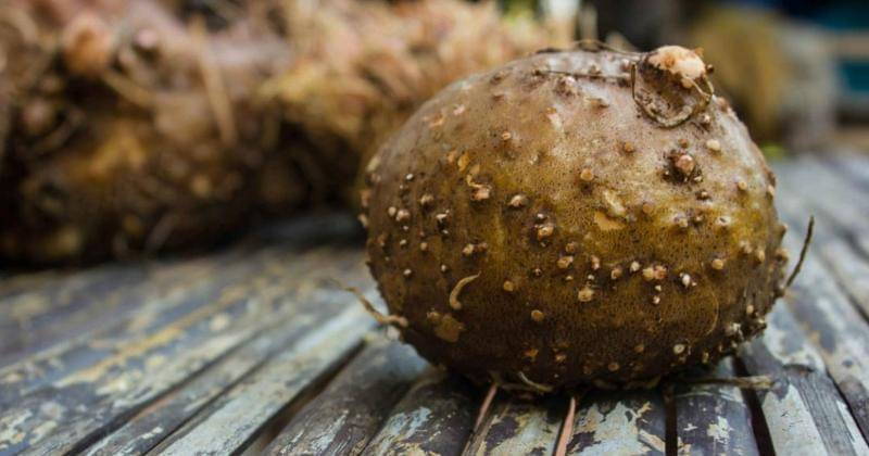 Medicalnewstoday.com