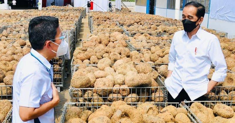 Instagram.com/jokowi