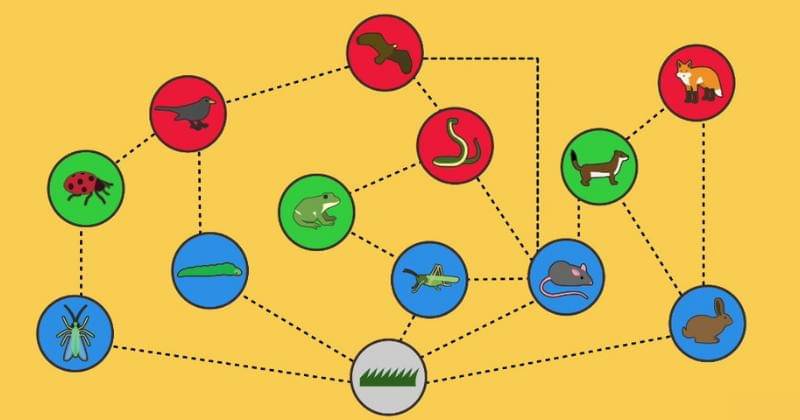 Youtube.com/FuseSchool - Global Education