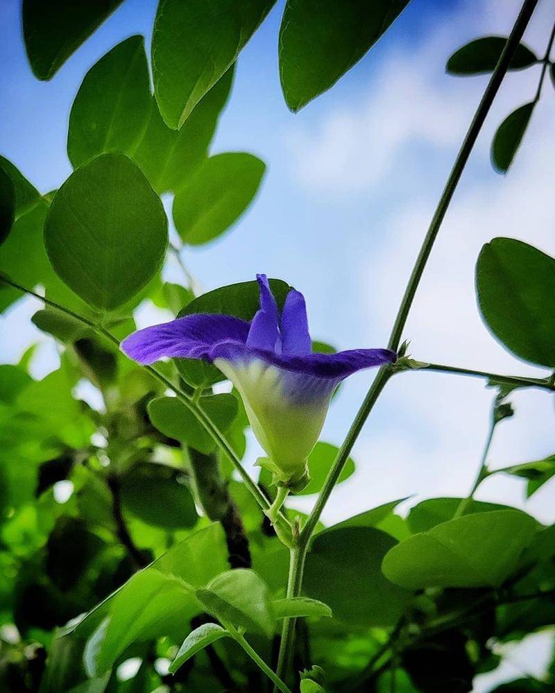 Instagram.com/naturelover_118