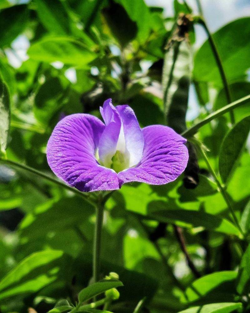 Instagram.com/naturelover_118