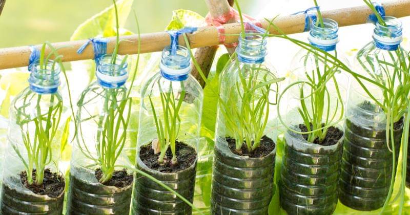 Shutterstock/happymay
- Shutterstock/happymay