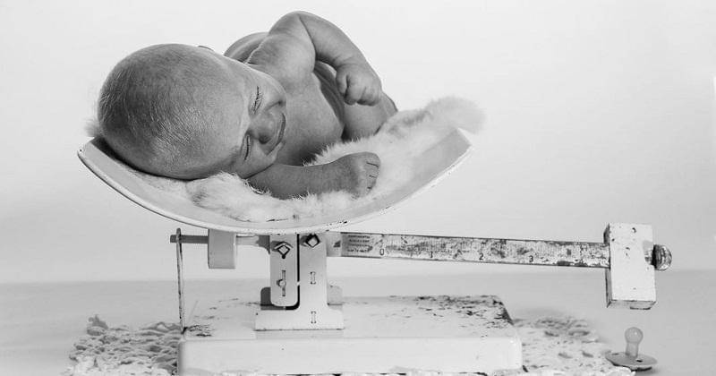 Instagram.com/acraftmenagerie