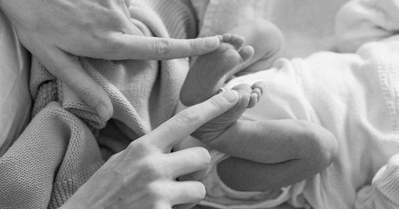 Unsplash/Danijel Durkovic