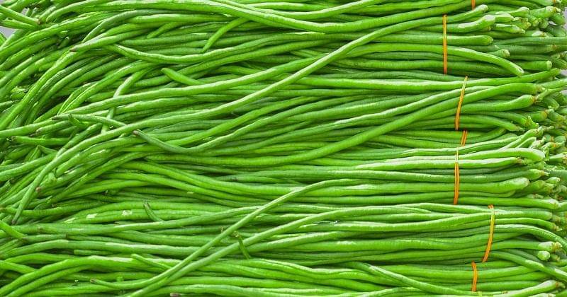 Pixabay/Nandalal_Sarkar